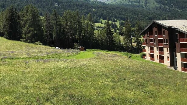 Ein Gebäude mit Schrägdach und mehreren Balkonen, umgeben von einer grünen Wiese und dichtem Wald, mit Bergen im Hintergrund.