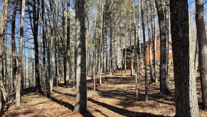 Zona boscosa con un sendero de tierra que conduce a un edificio con fachada de ladrillo rojo.