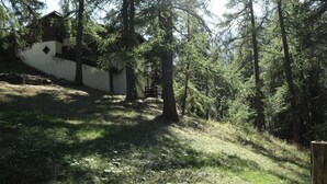 Une zone boisée avec un bâtiment blanc, une terrasse en bois et un sentier bien dégagé.