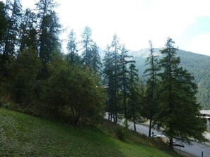A forested area with a road and a signpost.