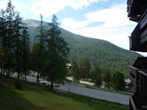 View from property - 300m from ski slopes, 2nd floor, view forest, balcony, tv, ski locker, 24m², Les Orres (Les Orres)