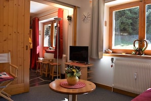 A cozy room with a wooden interior, a television on a small table, a window with a view of trees, and a radiator.
