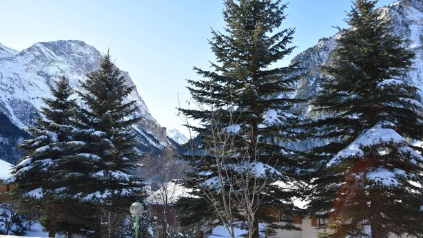 A snow-covered landscape with tall evergreen trees and a building with a sloped roof.