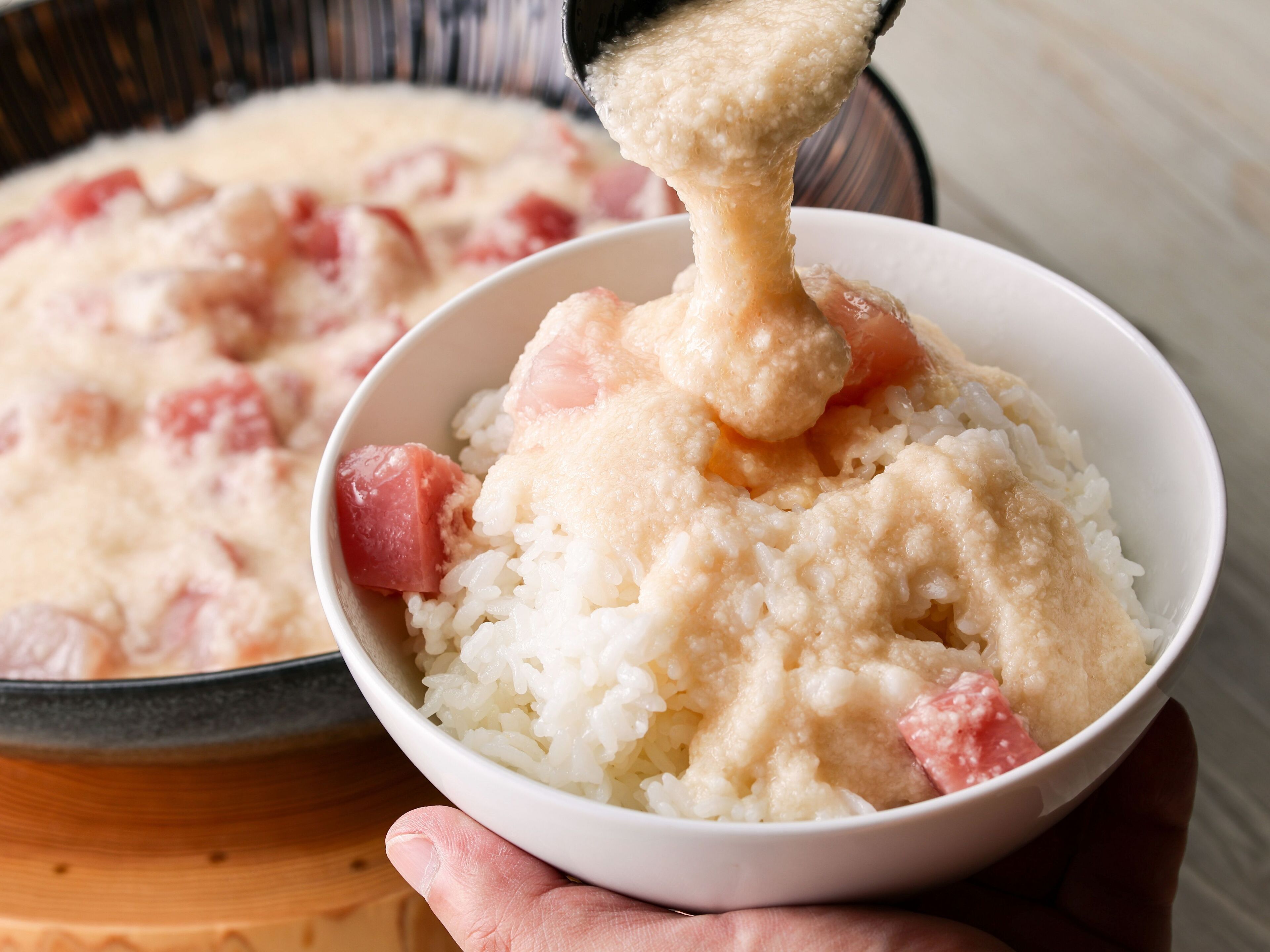 Un bol de riz nappé d’une sauce crémeuse et agrémenté de morceaux de viande.