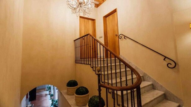 Eine Treppe mit hölzernem Geländer, einer Kristallleuchter und Pflanzen in Töpfen am Fuß.
