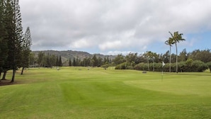 Ein Golfplatz mit einem gepflegten Grün, Bäumen und einer Fahne.