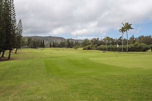 Golf - Beach Cozy North Shore Turtle Bay Condo (Kahuku)