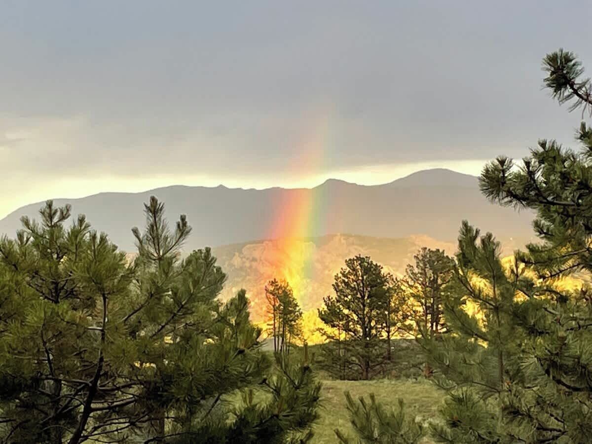 Eine Berglandschaft mit Regenbogen, Kiefern und blauem Himmel.