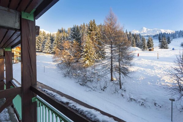 Property grounds - 10m from ski slopes, 10th floor, balcony, tv, 27m², Les Arcs (Les Arcs)