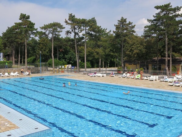 A swimming pool with multiple lanes, surrounded by lounge chairs and trees.