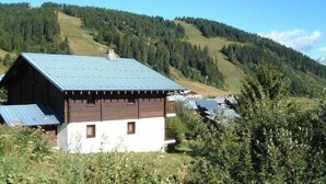 Eine rustikale Holzhütte mit geneigtem Dach, umgeben von dichtem Wald und Hügeln.