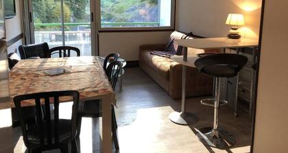 100m from resort center, 1st floor, view mountain, balcony, tv, 27m², Gourette