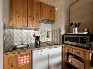 Fridge, dishwasher, coffee/tea maker - 300m from resort center, floor -4, balcony, tv, 24m², Pra Loup (Pra Loup)