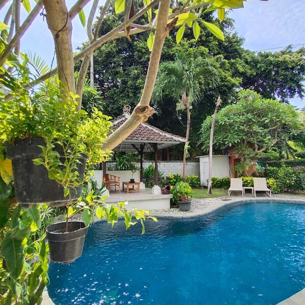 Outdoor pool - Cozy and Homey Villa in Sanur Bali - 5 min by walk form the beach! (Denpasar)