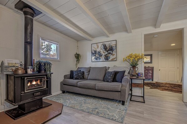 Smart TV, fireplace, books