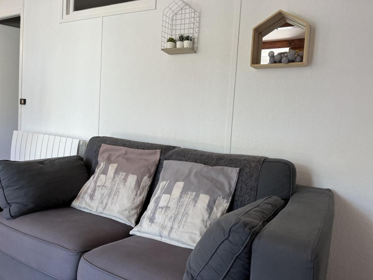 Un canapé gris agrémenté de deux coussins décoratifs, un radiateur blanc et deux étagères murales ornées de plantes et d’objets décoratifs.