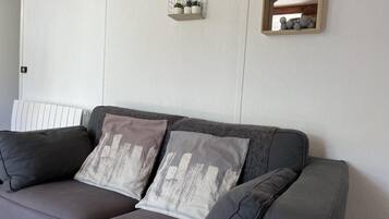 Un canapé gris agrémenté de deux coussins décoratifs, un radiateur blanc et deux étagères murales ornées de plantes et d’objets décoratifs.