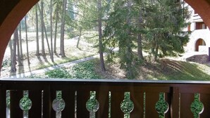 A view through an arched window of a forested area with a pathway and a building in the background. - 50m from resort center, 2nd floor, balcony, tv, ski locker, 26m², Montchavin La Plagne (Bellentre)