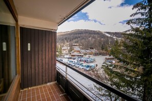Property grounds - 50m from resort center, 2nd floor, parking, tv, 45m², Vars (Vars)
