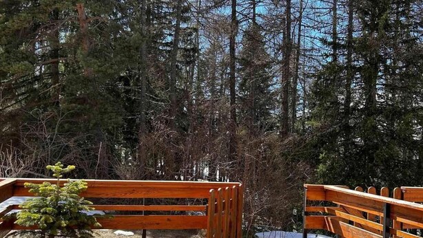 Une terrasse en bois, agrémentée de tables de pique-nique et de bancs, entourée de grands arbres.