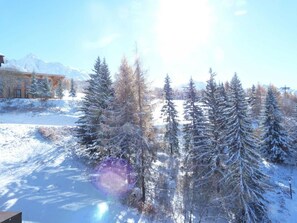 A snowy landscape with evergreen trees and a building in the background.