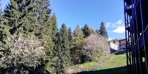 A building with a modern architectural design, surrounded by dense evergreen trees and a clear blue sky.