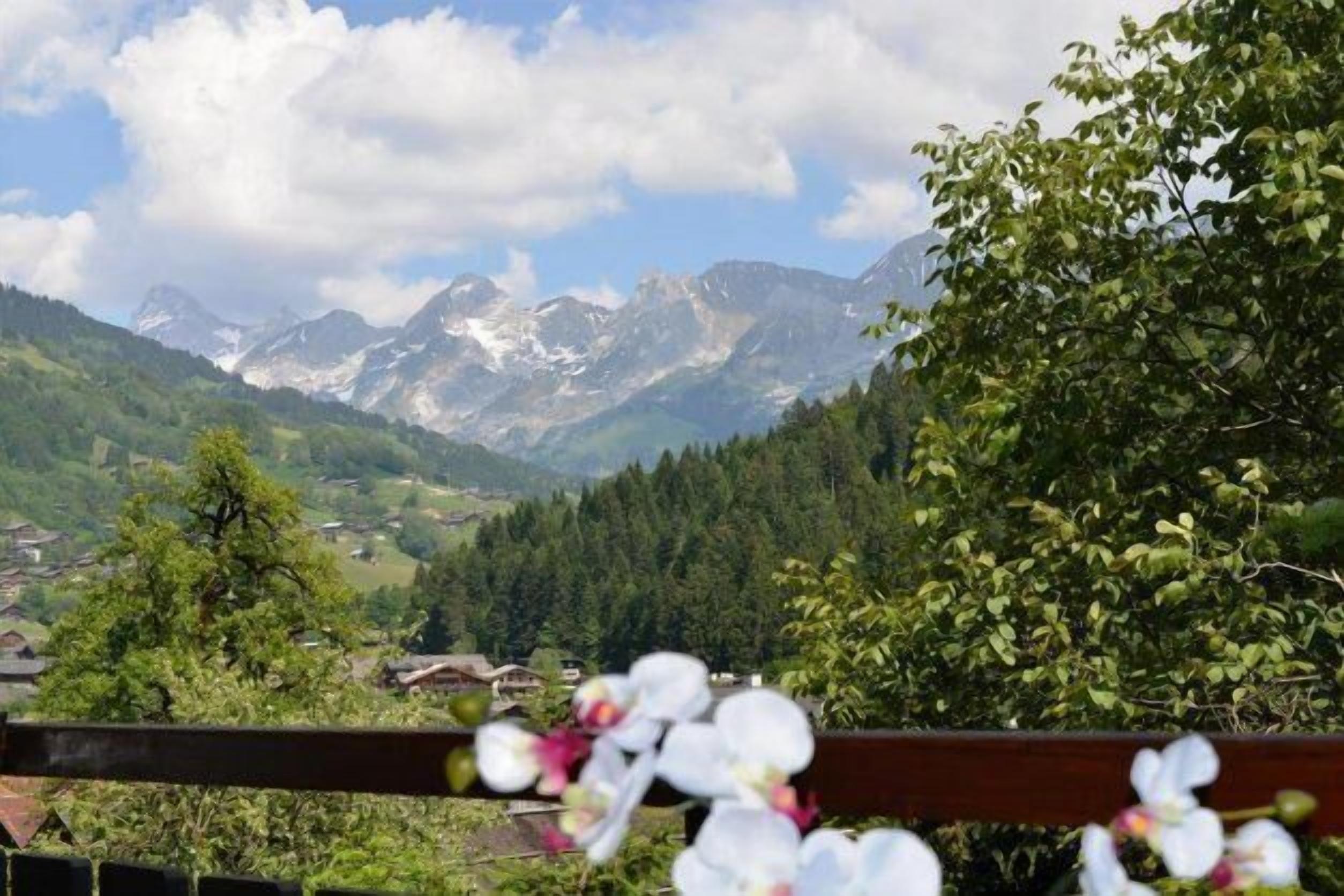 A scenic mountain view with a wooden fence and white flowers in the foreground.