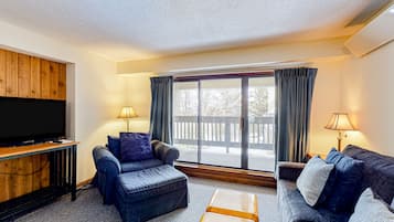 Televisio, DVD-soitin, kirjoja, videokirjasto