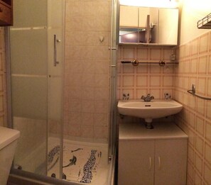 Bathroom features a glass-enclosed shower, sink, and mirror.