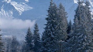 A snowy mountain landscape with evergreen trees. - 4th floor, balcony, parking, tv, ski locker, 55m², Saint Gervais (Saint-Gervais-les-Bains)
