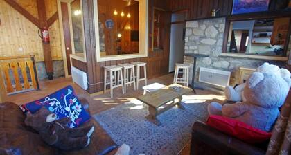 Landhaus, blick see, kamin oder ofen für holz, fernseher, schließfach für die skier, 180m², Tignes