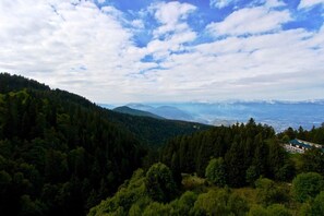 Escape to a serene mountain retreat surrounded by dense forest and rolling hills.