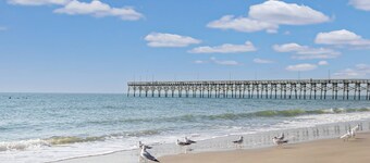 Pet Friendly -Fenced Backyard - Perfect Beach Getaway! Private Bungalow w/ living Space!