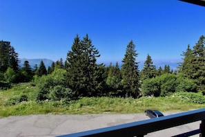 A view from a window overlooking a forested area with a clear sky.