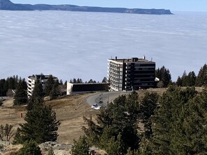 Eksteriør