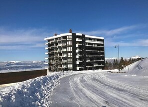 Eksteriør