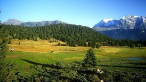 A mountainous landscape with a clear sky, a grassy field, and a forested area. - 300m from ski slopes, 1st floor, balcony, tv, 35m², Chamrousse (Chamrousse)