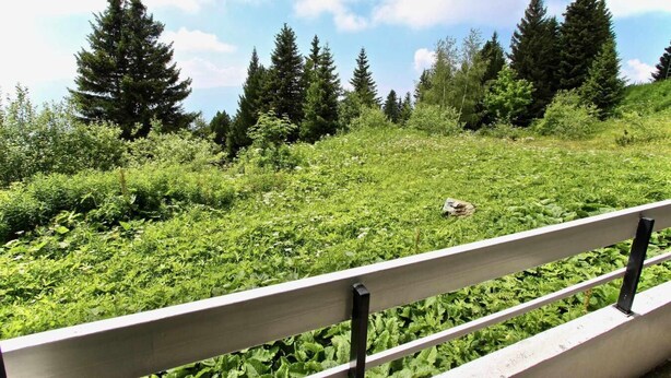 A grassy area with a wooden bench in the foreground. - 100m from ski slopes, Ground floor, 19m², Chamrousse (Chamrousse)