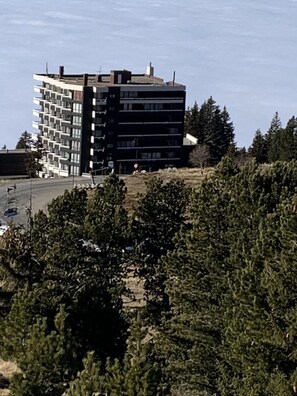 Udendørsområde