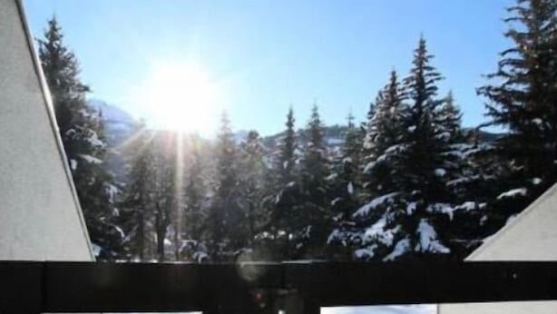 Schneebedeckte Landschaft mit immergrünen Bäumen und einer hellen Sonne im Hintergrund.