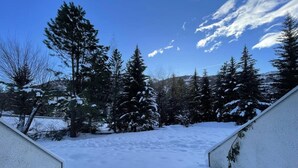 Schneebedeckte Landschaft mit Bäumen und blauem Himmel.