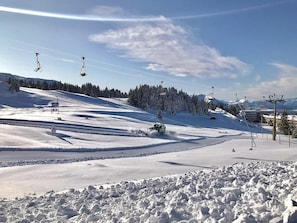 Snø- og skisport