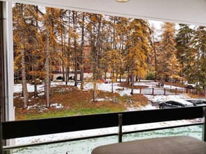A view from a window overlooking a park with trees and a fence.