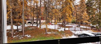 20m from ski slopes, 1st floor, tv, ski locker, 18m², La Joue du Loup