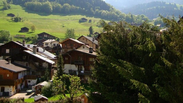 Ein Dorf mit traditionellen Holzhäusern, umgeben von saftig grünen Feldern und bewaldeten Hügeln.
