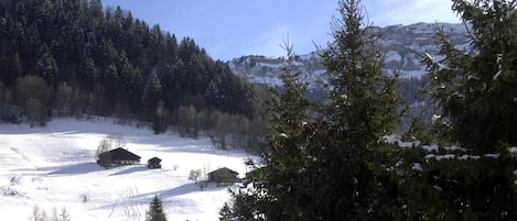 A snowy landscape with houses and trees.
