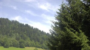 Eine Holzhütte mit Balkon, umgeben von üppiger Vegetation und einem bewaldeten Hang.