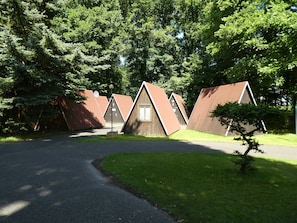 A row of triangular-roofed cabins with a paved driveway leading to them, surrounded by dense trees.