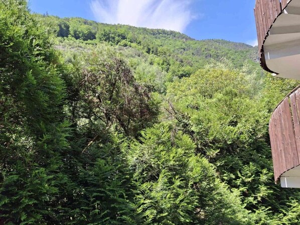 Terrain de l’hébergement 