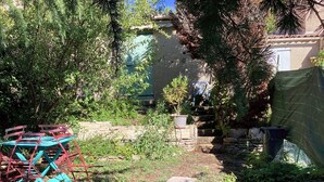 Ein Garten mit einer Steinsäule, einem Topfpflanzen und einem blauen Stuhl.